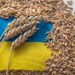 Polska przygotowuje transportowe „linie solidarności” w celu wsparcia eksportu ukraińskiego zboża