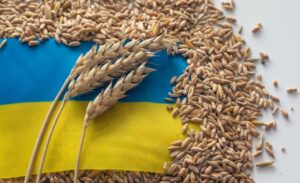 Polska przygotowuje transportowe „linie solidarności” w celu wsparcia eksportu ukraińskiego zboża