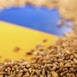 Polska obiecuje Ukrainie pomoc w eksporcie zboża
