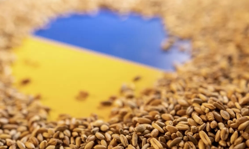 Polska obiecuje Ukrainie pomoc w eksporcie zboża po rosyjskim demarche