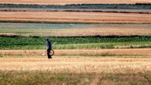 Ekonomiczny wpływ suszy na straty w polskich uprawach